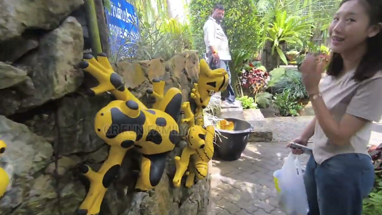 Nong Nooch Tropical Garden Pattaya Thailand 2025 part 7 | Bromeliad Garden