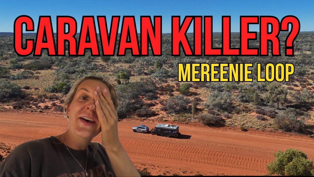 From Canyon Cliffs to Chaos: Helicopter Joy & Van Life Disaster