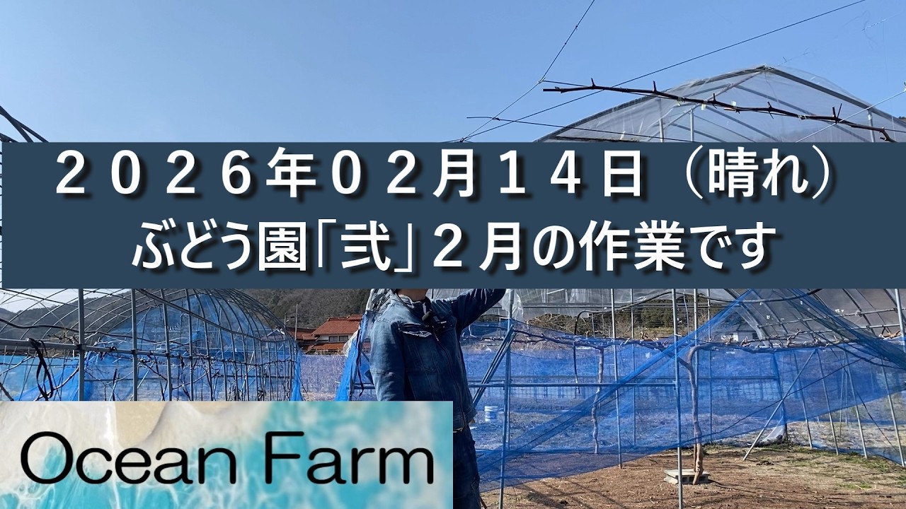ぶどう園「弐」2月の作業です