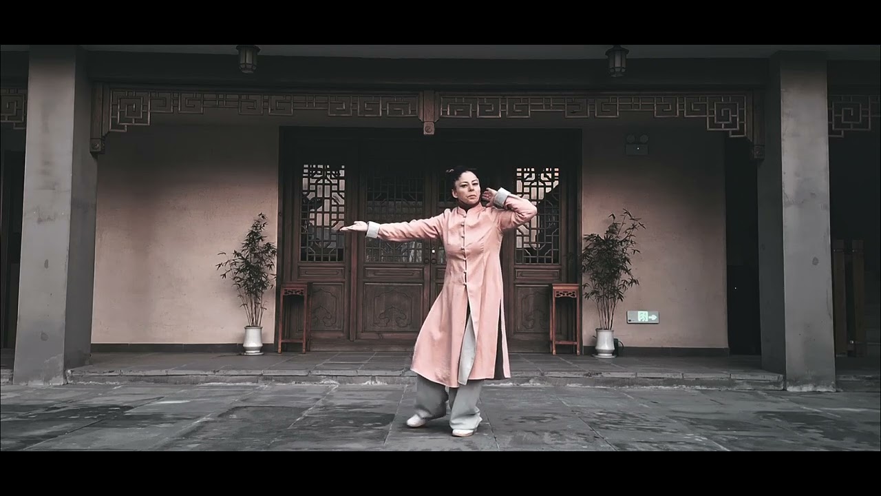 Wudang Tai chi 13