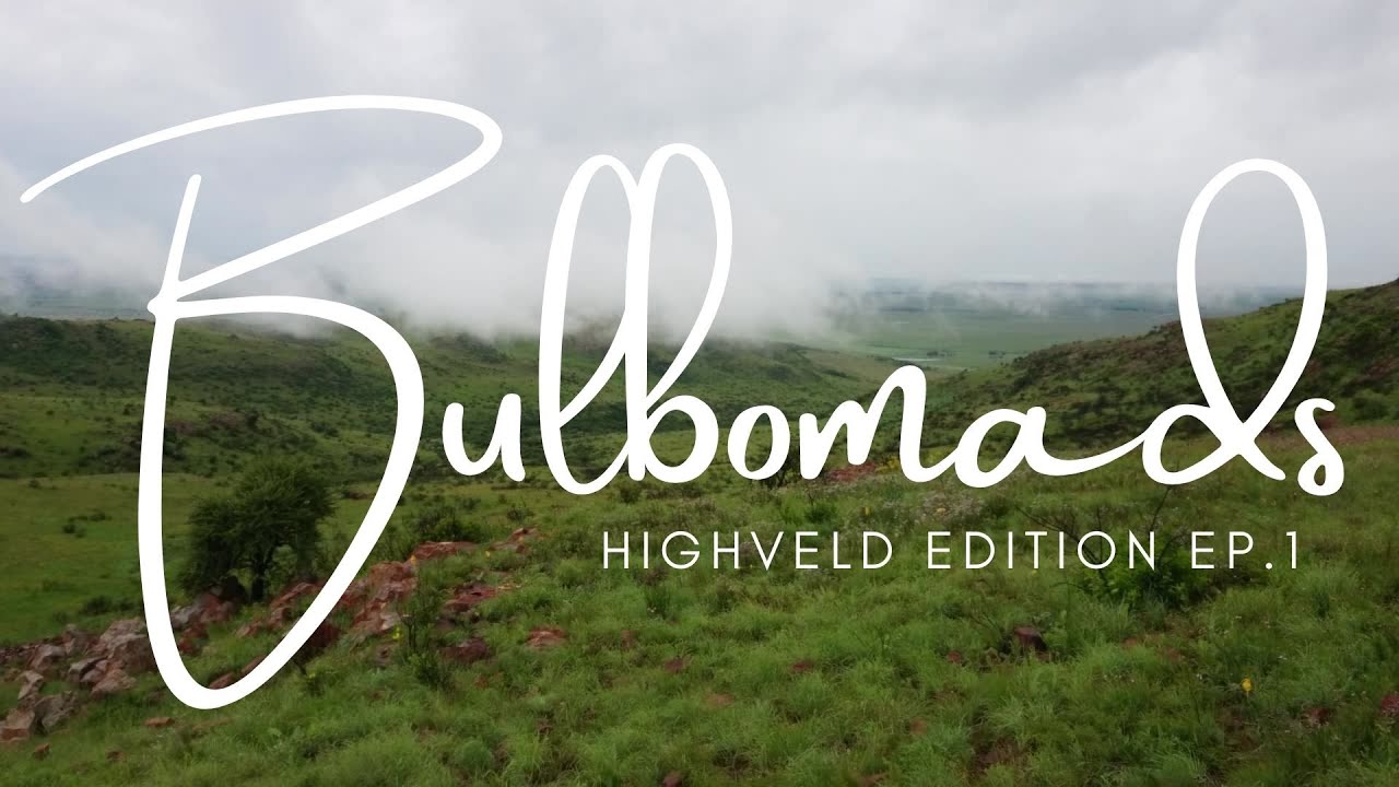 EP.1 Highveld - Mid Summer [December]