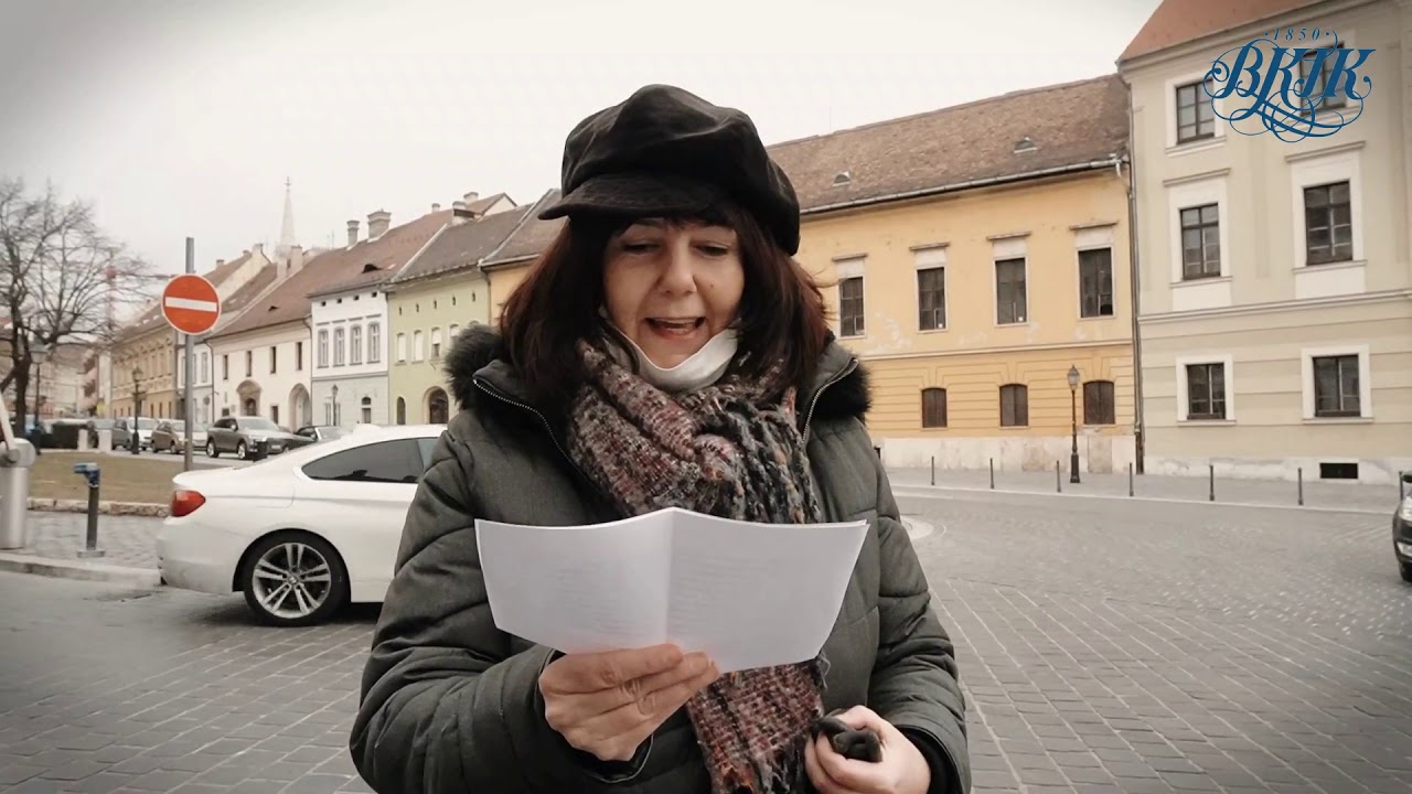 Városélet a várkapukon belül – séta Buda polgárvárosában
