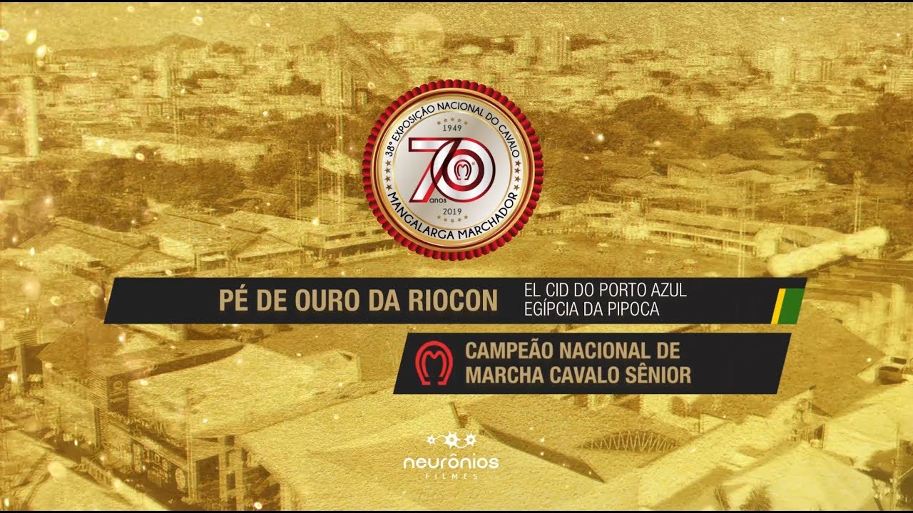 P&eacute; de Ouro da Riocon Campe&atilde;o de Marcha Cavalo S&ecirc;nior Nacional 2019