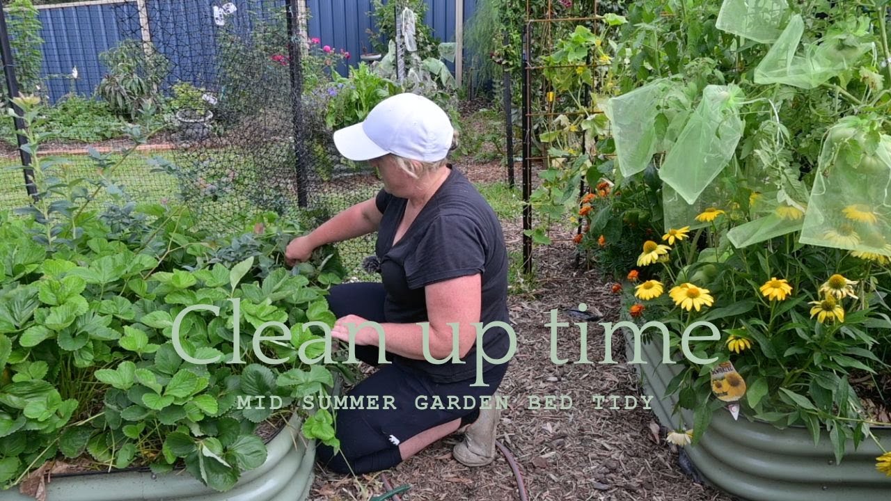 Maybe we can get one more crop!  Mid-summer garden bed clean out