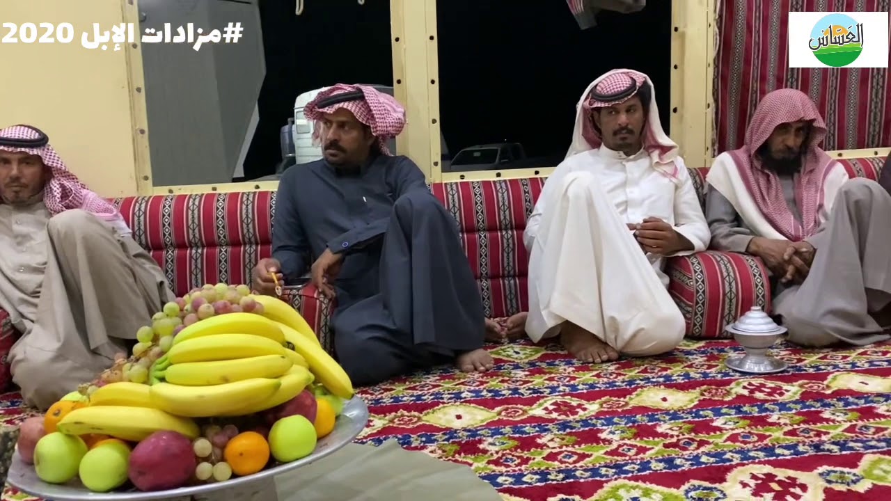 2 عزبة ابناء الشيخ / تركي بن هقشه الحلقة مع الشاعر / محماس بن عبدالله الرجباني الدوسري 1442/3/14