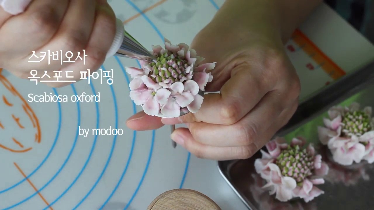 Eng sub] 스카비오사 옥스포드 파이핑, scabiosa, oxford_cakemodoo