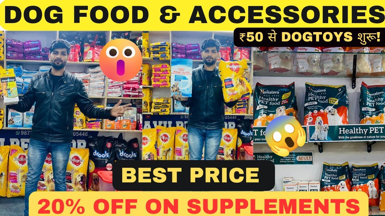 Cheapest Dog Food & Accessories Market in Delhi | Wholesale/Retail | Cloth | Bed | Scooper | Toys |