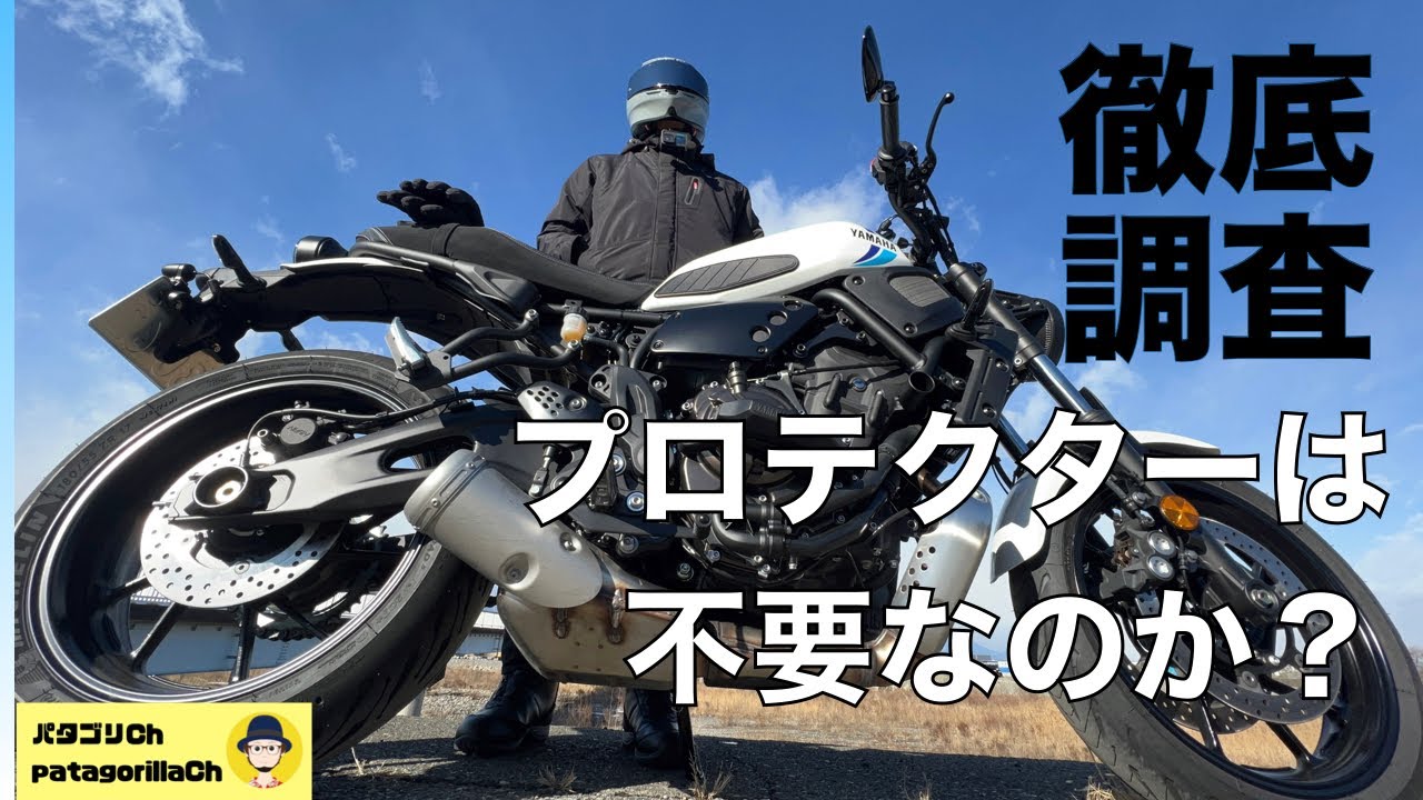 【徹底調査】プロテクターは不要なの？