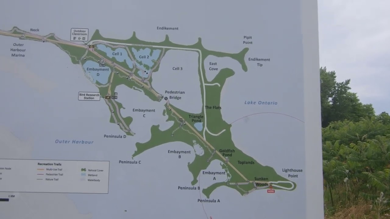 MORE TIKTOK FOXES: LESLIE SPIT