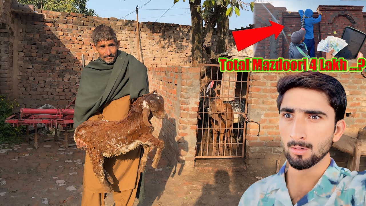 Baby Goat Is No more💔Mari Galti Ki Waja se 😭New House ki Total Mazdoori.?its cost so high\HamzaSidhu