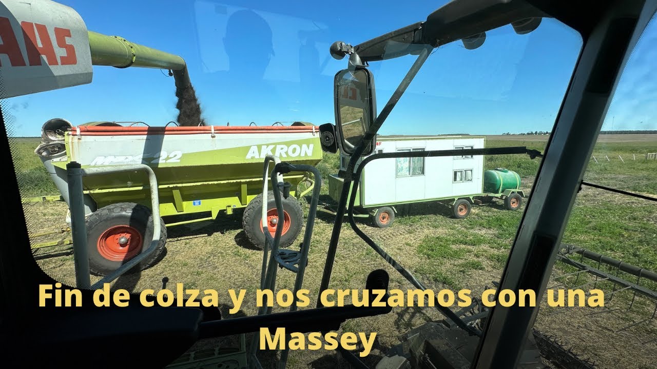 Mano a mano con una Massey Ferguson para terminar la colza