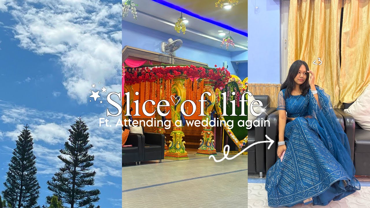 Slice of life 🌷 Busy and Productive day | attending a wedding | lots of food 🌸