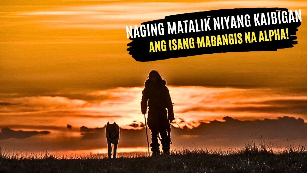 NILIGTAS NG BATANG LALAKI ANG ISANG LOBO AT MGA ANAK NITO | Tagalog Movie Recap