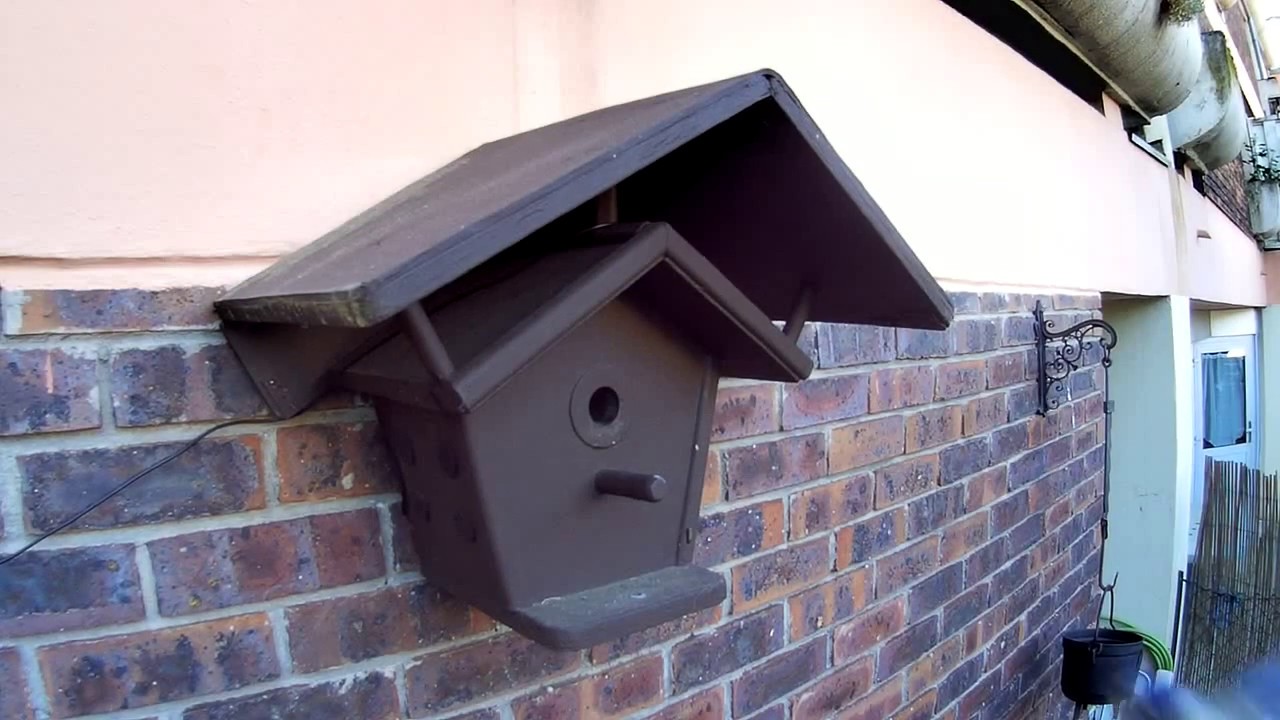 Nichoir connecté- acte  2 ( une belle histoire de la vie trépidante d'un couple de mésange bleue )