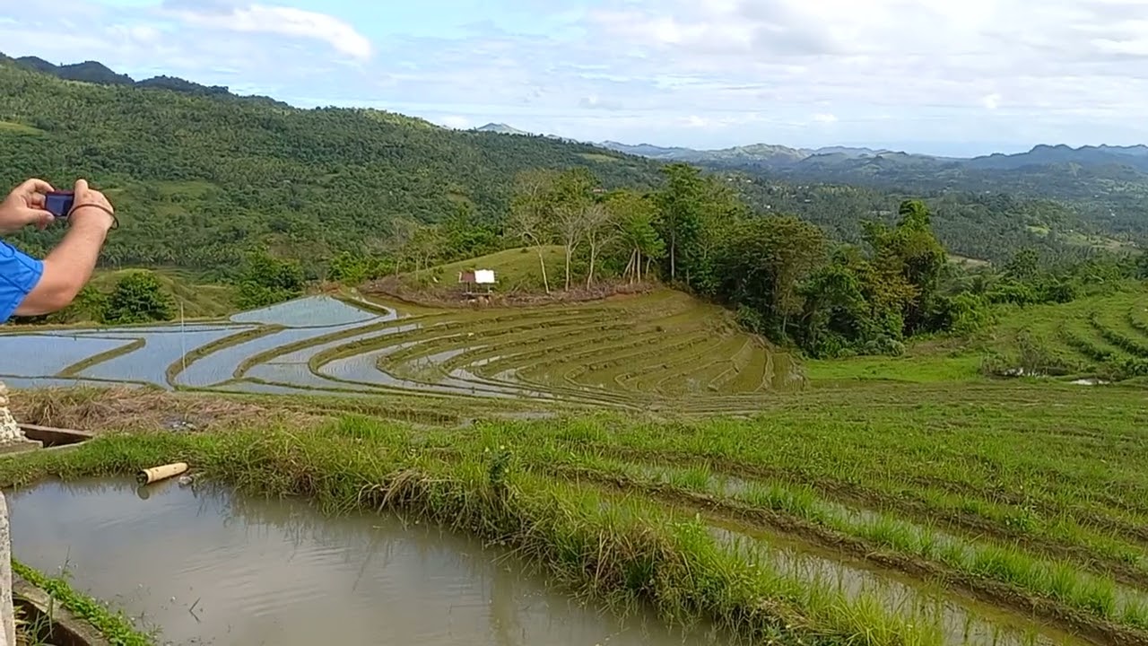 🤗🤗🤗  Cadapdapan Rice Terraces sa Candijay Bohol . Look and Watch 🤗🤗🤗