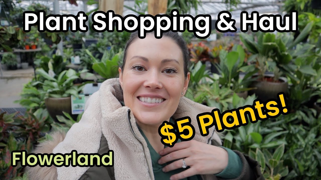 $5 Plants! Plant Shopping & Plant Haul - Flowerland Indoor House Plant Shopping