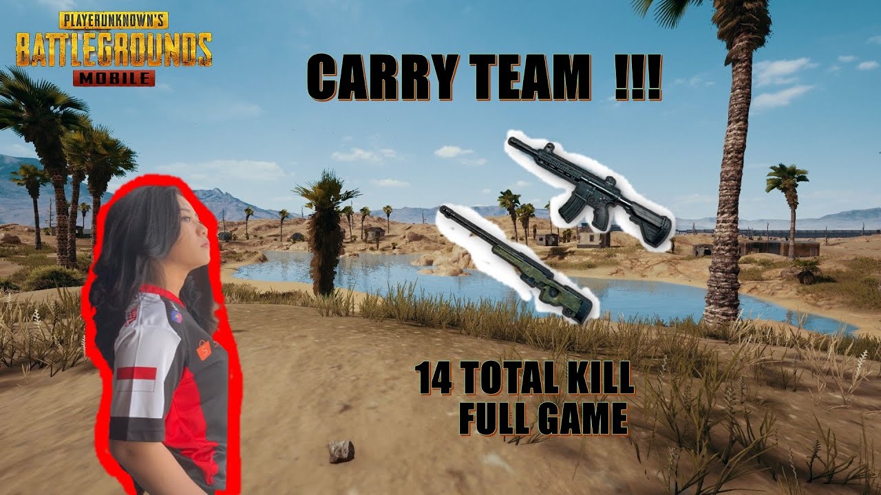 Carry team full game 14 kill Miramar !!!