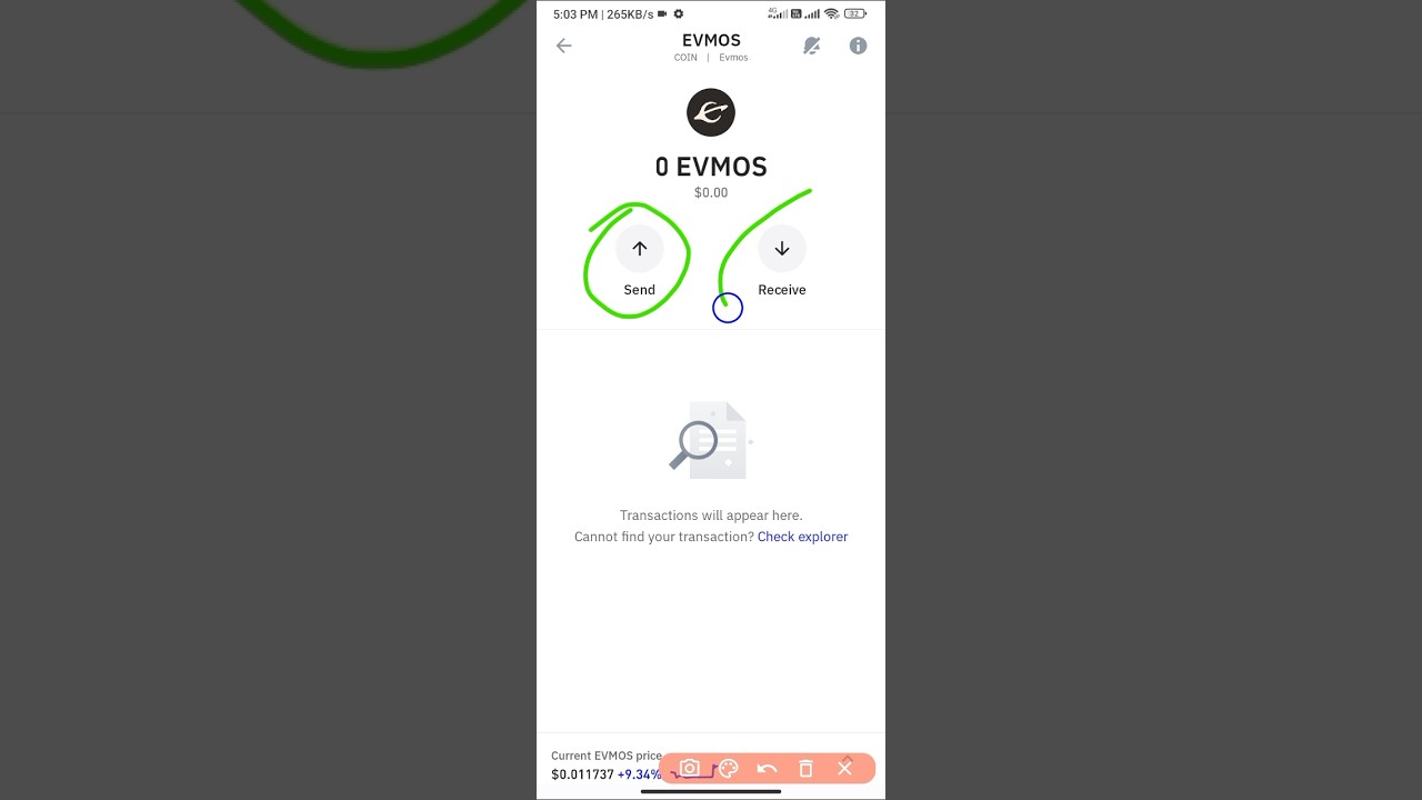 EVM Address on Trust Wallet