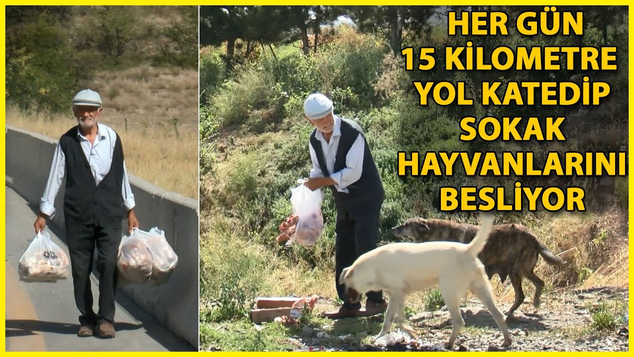 Sokak Hayvanları İçin Her Gün 15 Kilometre Yol Gidiyor