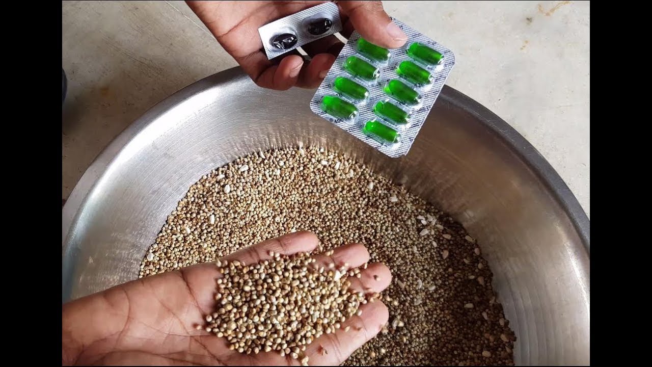 Bird Breeding Formula Seeds Calcium Vitamins Minarals Tips