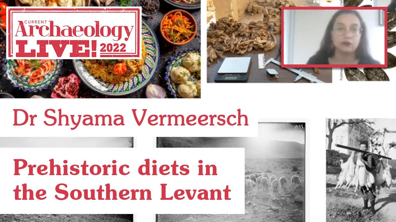 Prehistoric diets in the Southern Levant: Dr Shyama Vermeersch