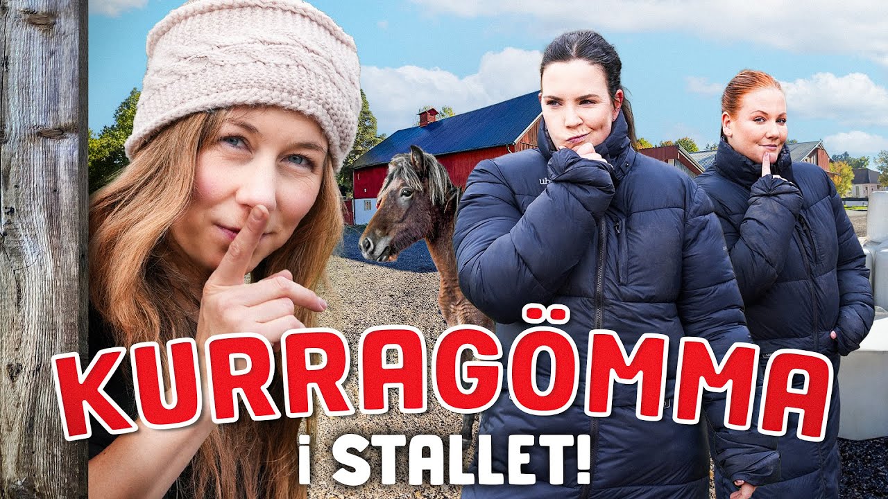 KURRAGÖMMA I STALLET | Systrarna Elfstrand