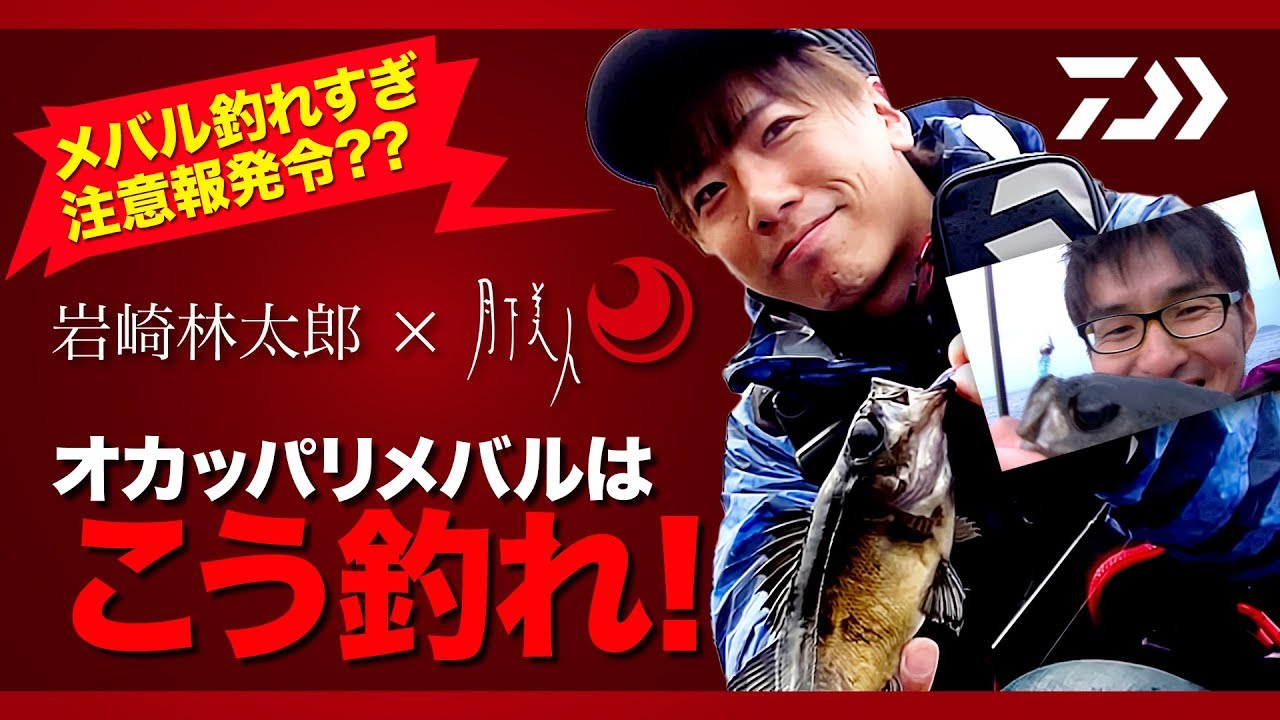 [メバル]初心者必見！爆釣おかっぱりライトゲーム 岩崎林太郎