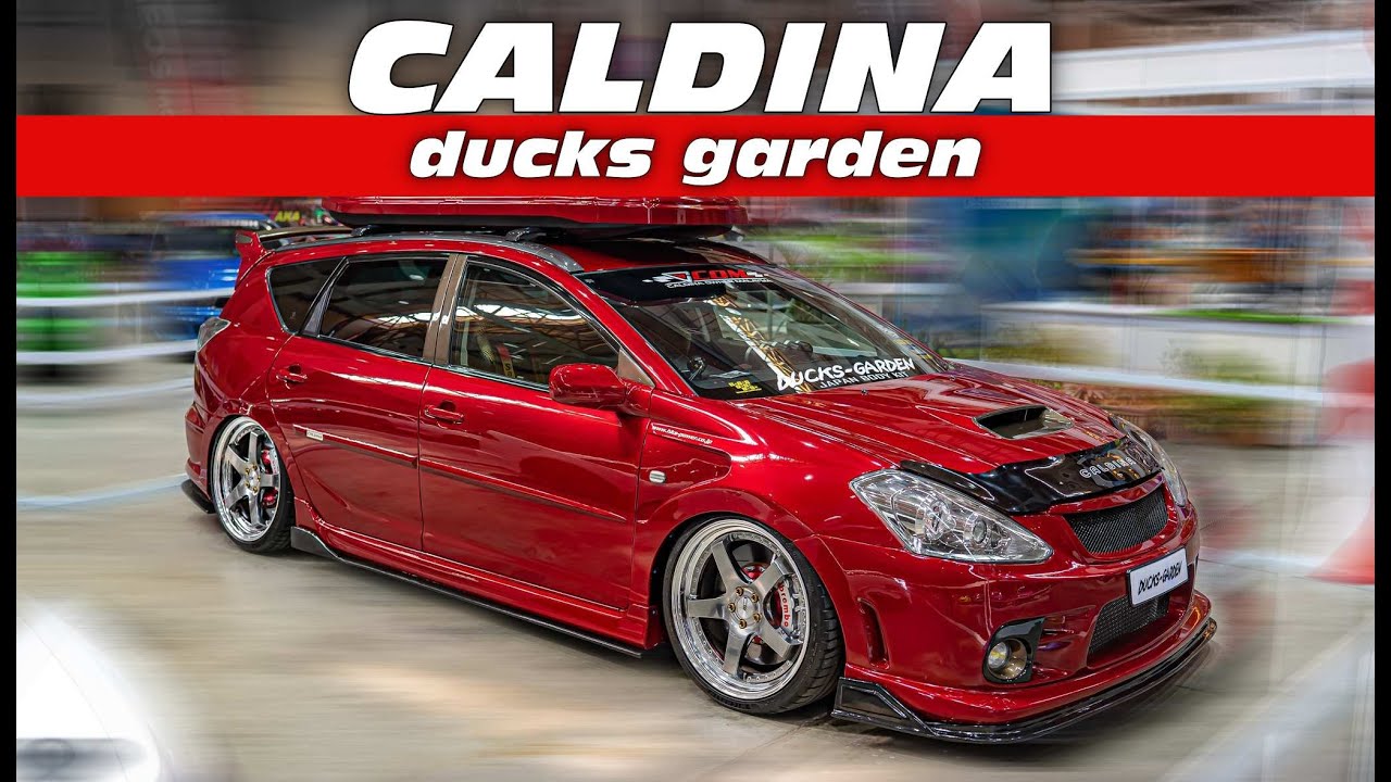 Toyota Caldina Modified Ducks Garden