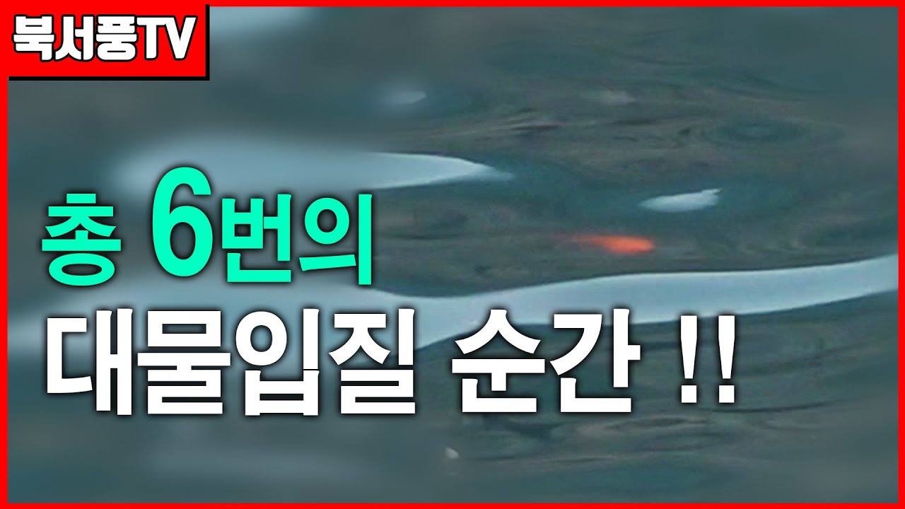 총 6번의 대물 입질 순간 !! 조류가 없어도 감성돔 낚을 수 있는 법 !!