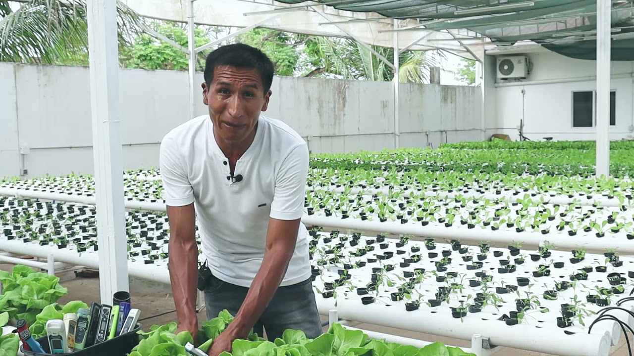 Medidores de pH y CE de la solución nutritiva en Hidroponía/ Rene Cabezas