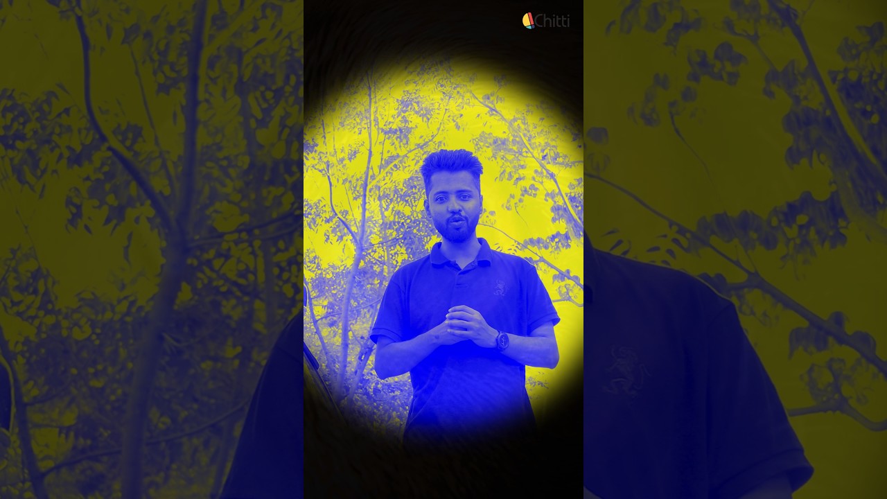 Can Dogs Really See Colors? 🤔 This is how the world Looks 🐕🐶