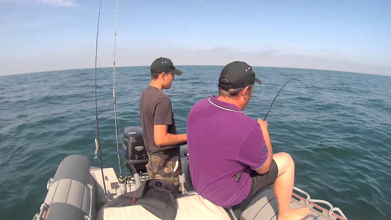 Peche du Cabillaud / Morue en Normandie - 9 Août 2015