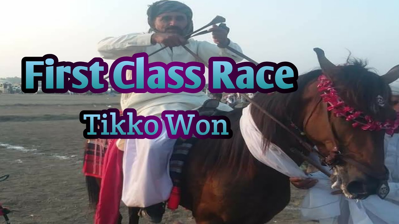 Tikko vs Moor Zada vs Shenh vs Ranger.Tikko won. Owner Sardar Riaz khan Mazari. First Class Horses