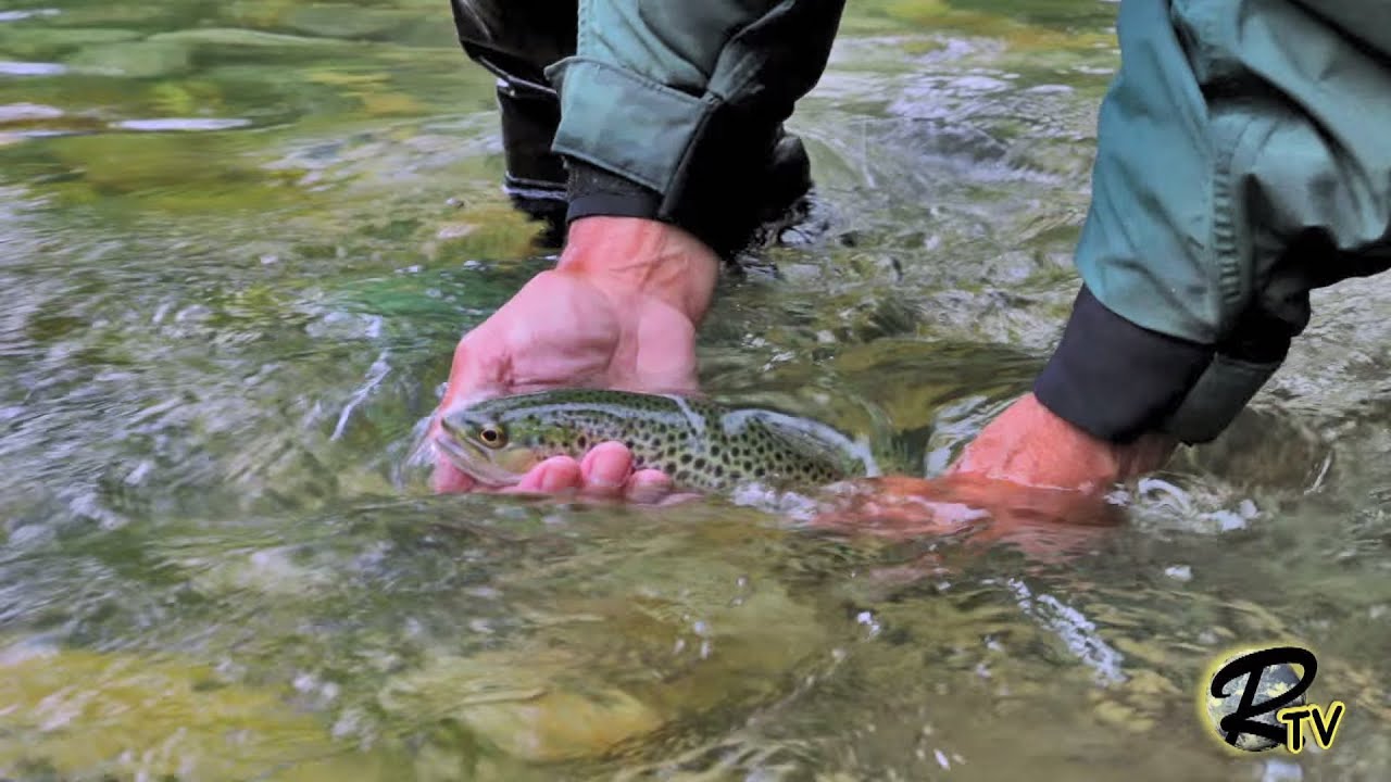 XVII Master de Pesca del Reo por parejas 2015