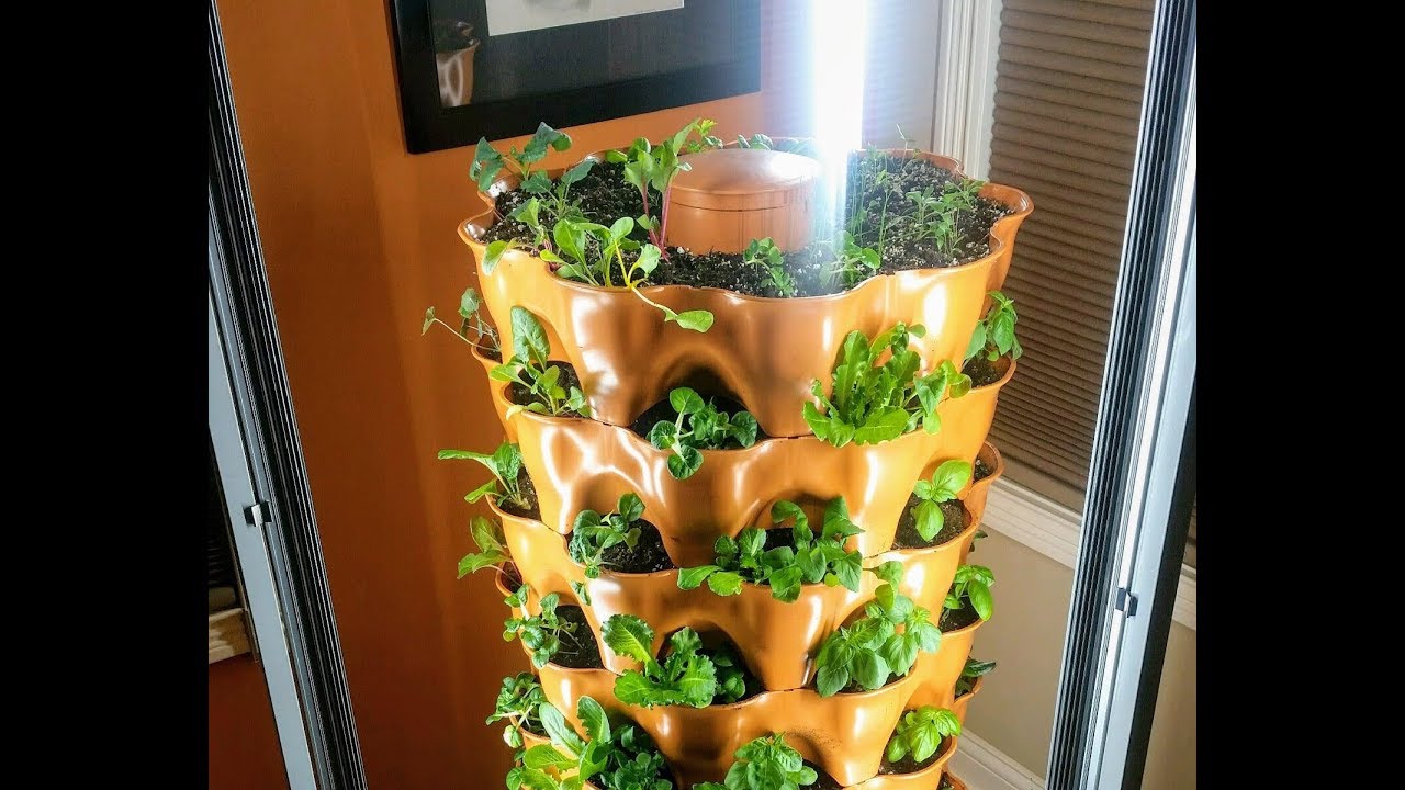 First week of growth - LED Grow Lights update 1 (new video every week!)