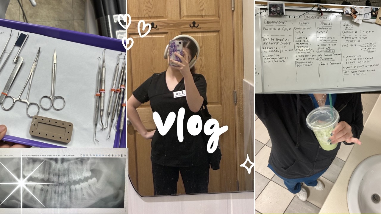 realistic week as a dental student