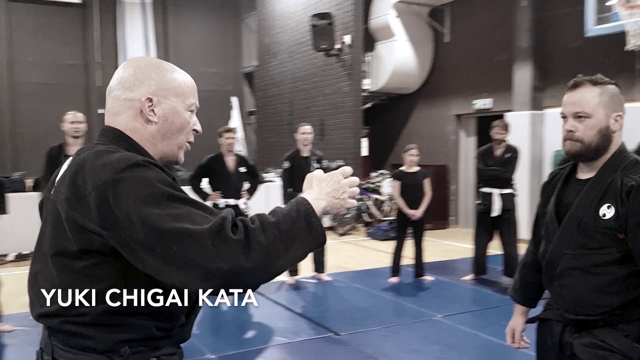 Attack sabaki and 3rd timing in Takagi Yoshin ryu - AKBAN Ninjutsu - Seventh week addendum