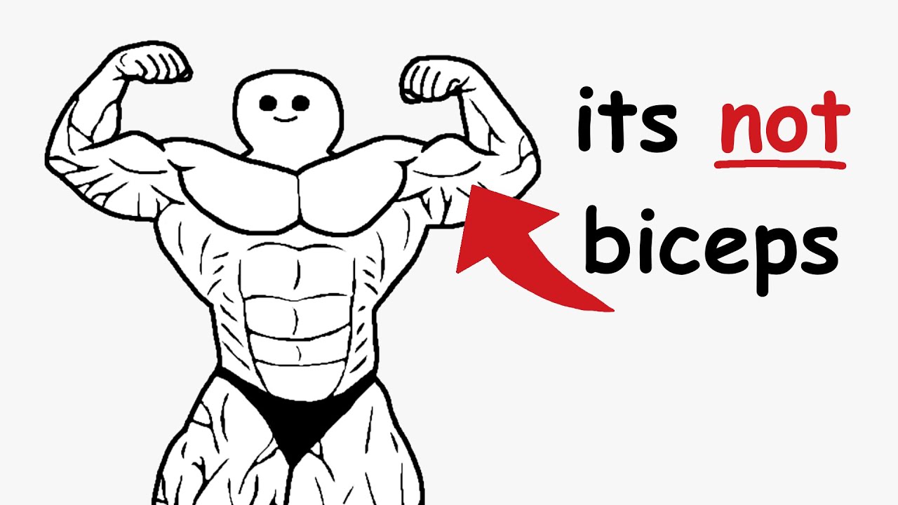 This Is What REALLY Makes Your Arms Look Big