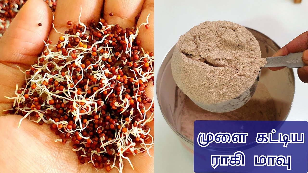 குழந்தைகளுக்கான முளைகட்டிய ராகிமாவு | Mulaikattiya Ragi Powder | Sprouted Ragi Powder for Babies