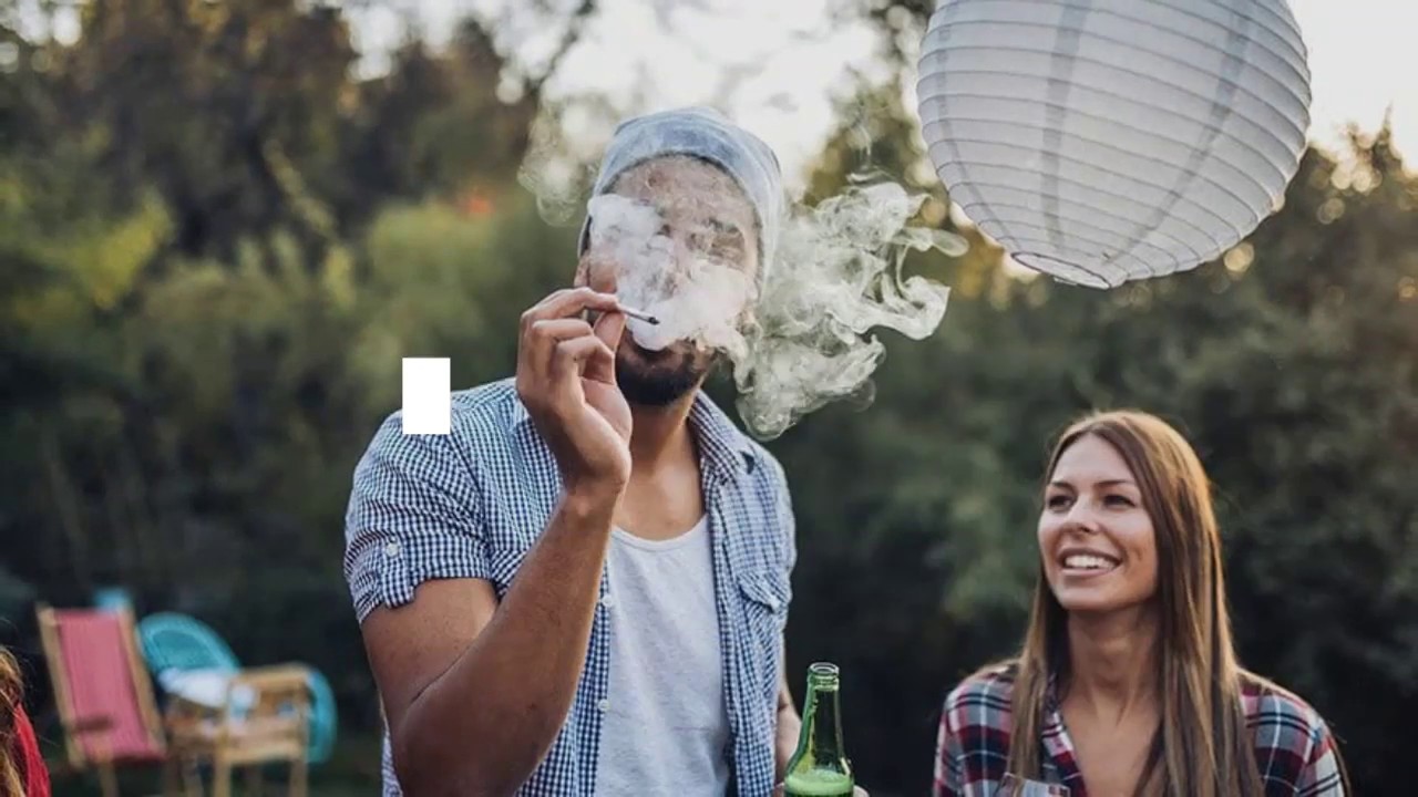 Buying Hemp Flower In Michigan- Best Strains and Where To
