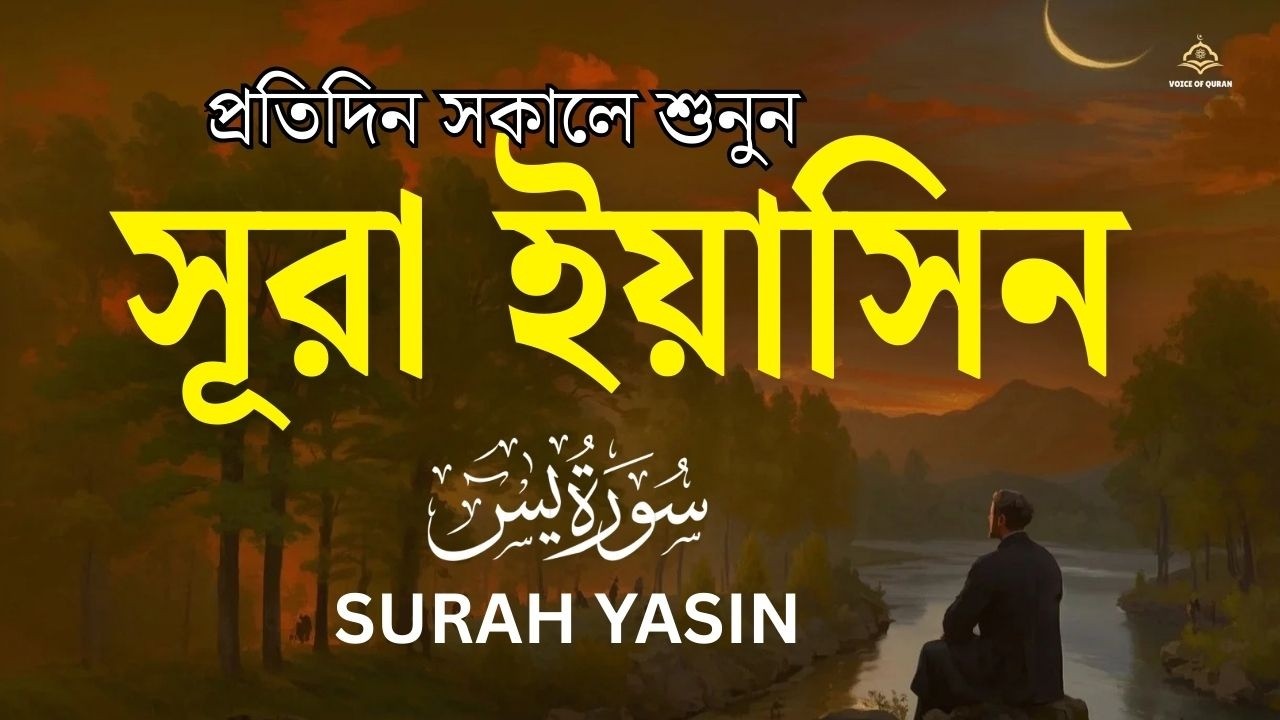 (প্রতিদিন শুনুন ) হৃদয় শীতল করা কণ্ঠে সূরা ইয়াসিন তিলাওয়াত | Surah Yaseen | by Shamsul Haque