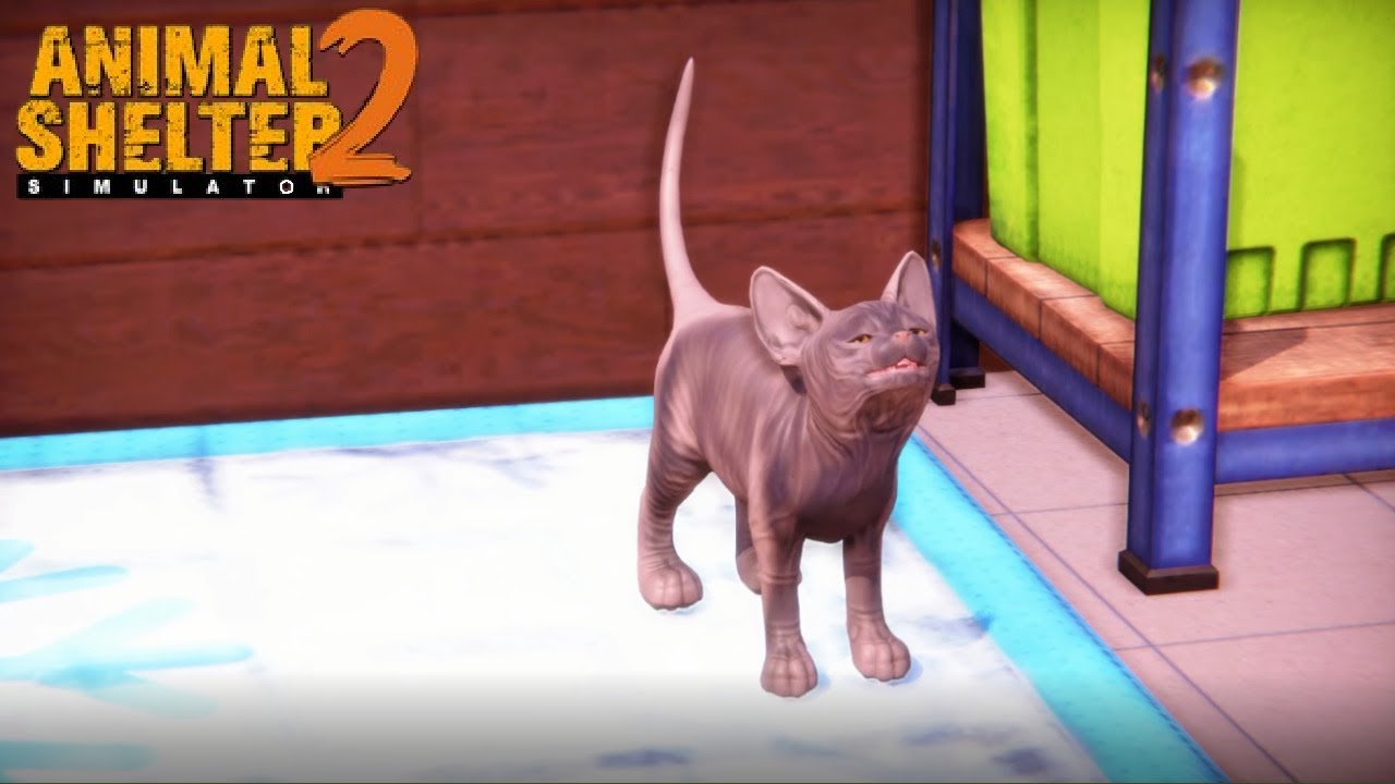Animal Shelter 2 #65 - Taking In Some Bigger Friends Again - Let's Play