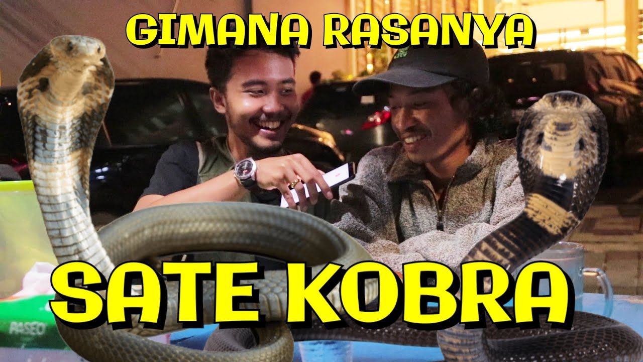 AYO MAKAN : Sate Kobra di Jakarta