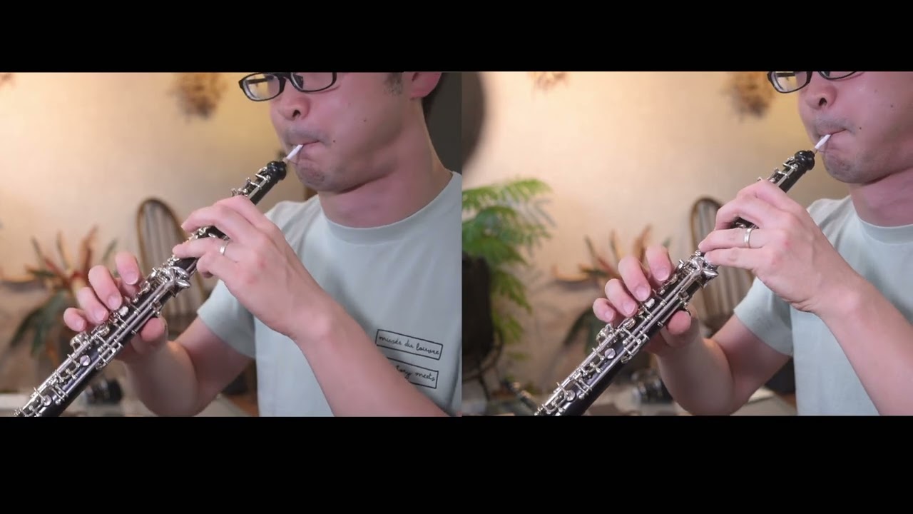 【ミュゼット】夜の女王のアリア【Piccolo Oboe/patricola】