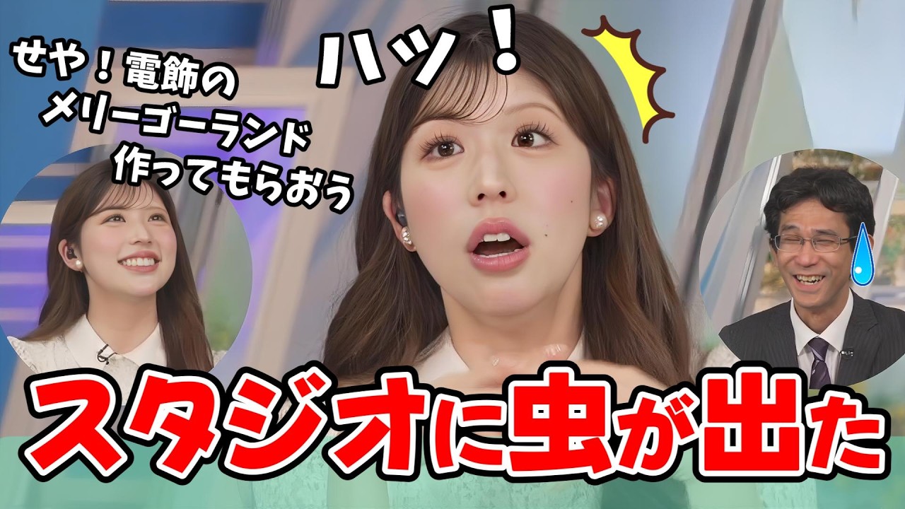【小林李衣奈・山口剛央】スタジオに虫がいた話から「電飾のメリーゴーランド」を作る話になり番組中ずーっと盛り上がっていた李衣奈ちゃんと山口さん【ウェザーニュース切り抜き】