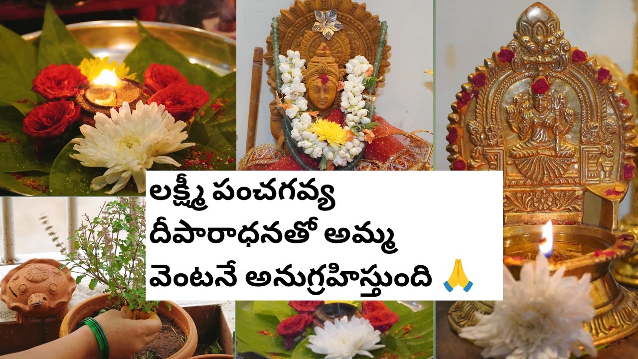 సకల శుభాలను కలిగించే లక్ష్మీ పంచకవ్య దీపారాధన |ఒక హోమం చేసినంత ఫలితం ఈ దీపారాధన వలన కలుగుతుంది🌷🙏