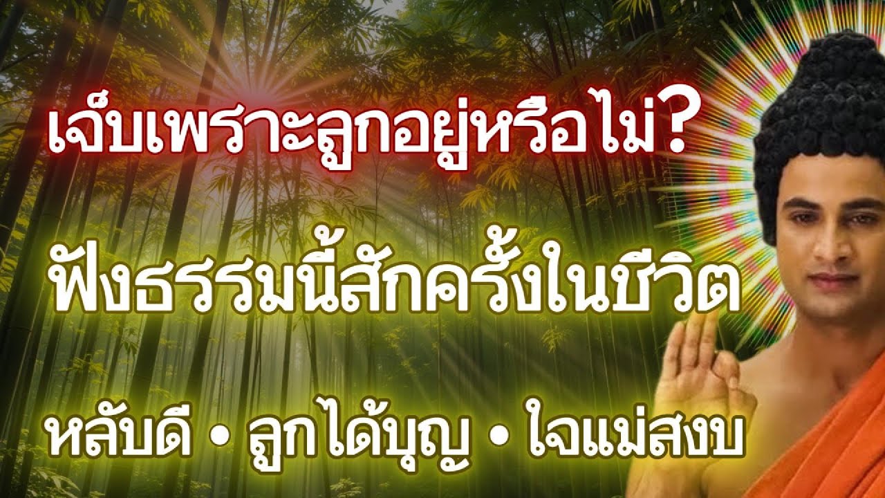 เจ็บเพราะลูกอยู่หรือไม่?..ฟังธรรมนี้สักครั้งในชีวิต | หลับดี • ลูกได้บุญ • ใจแม่สงบ