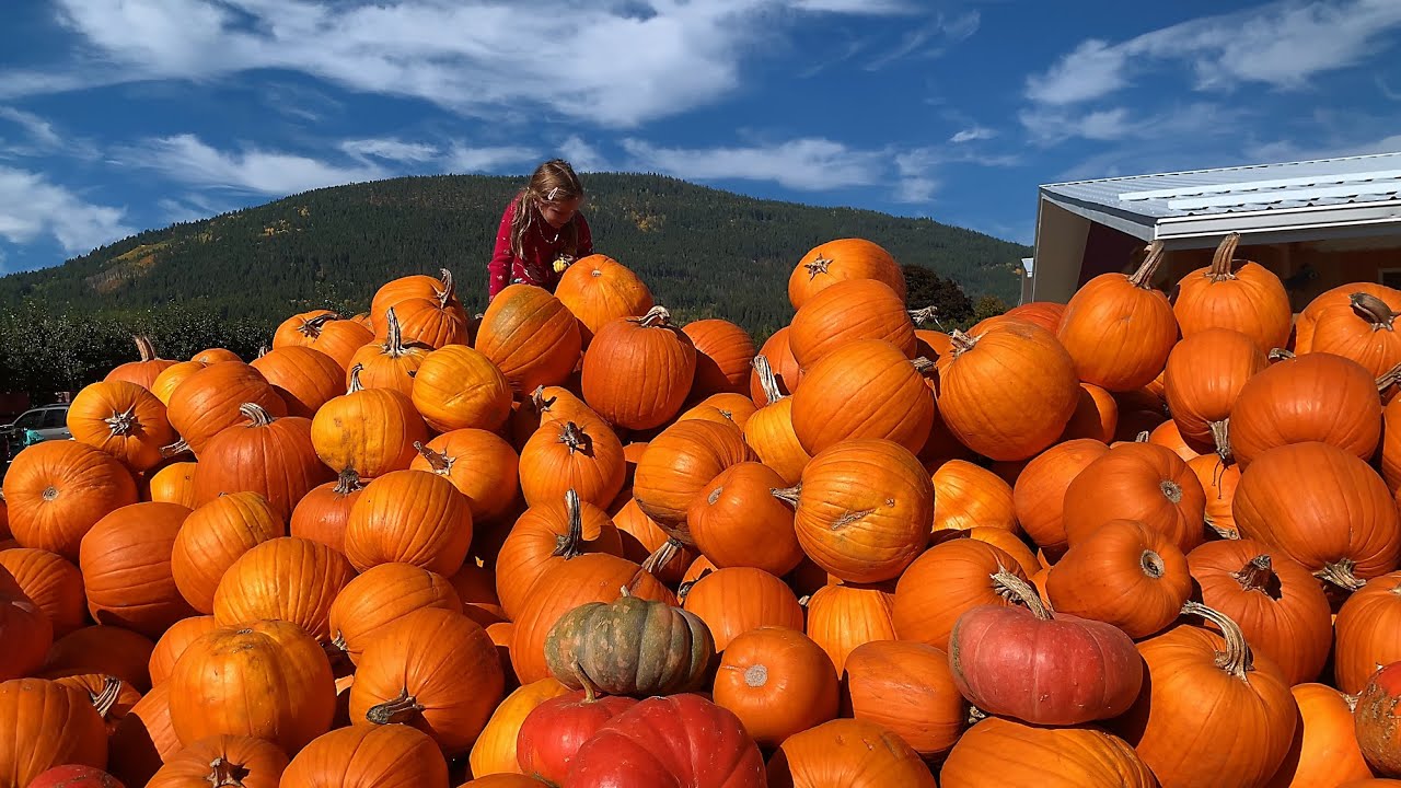Fruit Stands in Creston, BC | Fresh Local Produce Stop on an Okanagan Road Trip (4K)