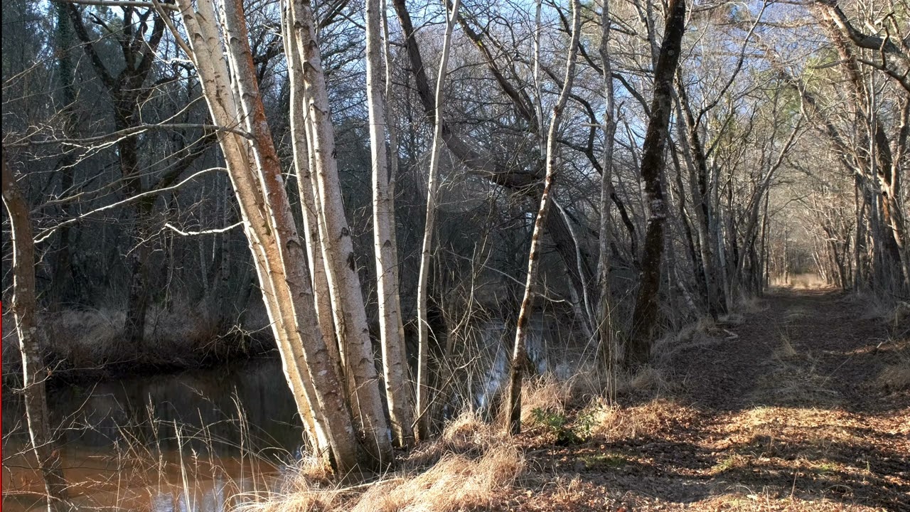 Cohérence cardiaque - Le canal du Caupos - Lacanau - 4K UHD - 5s / 5s