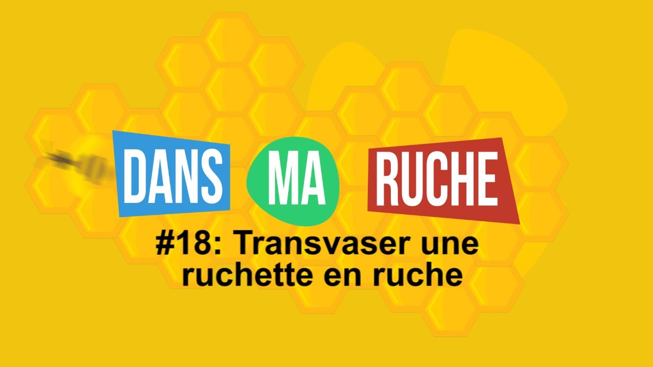 #18-Transvaser une ruchette en ruche